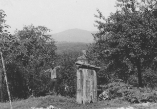 eika image